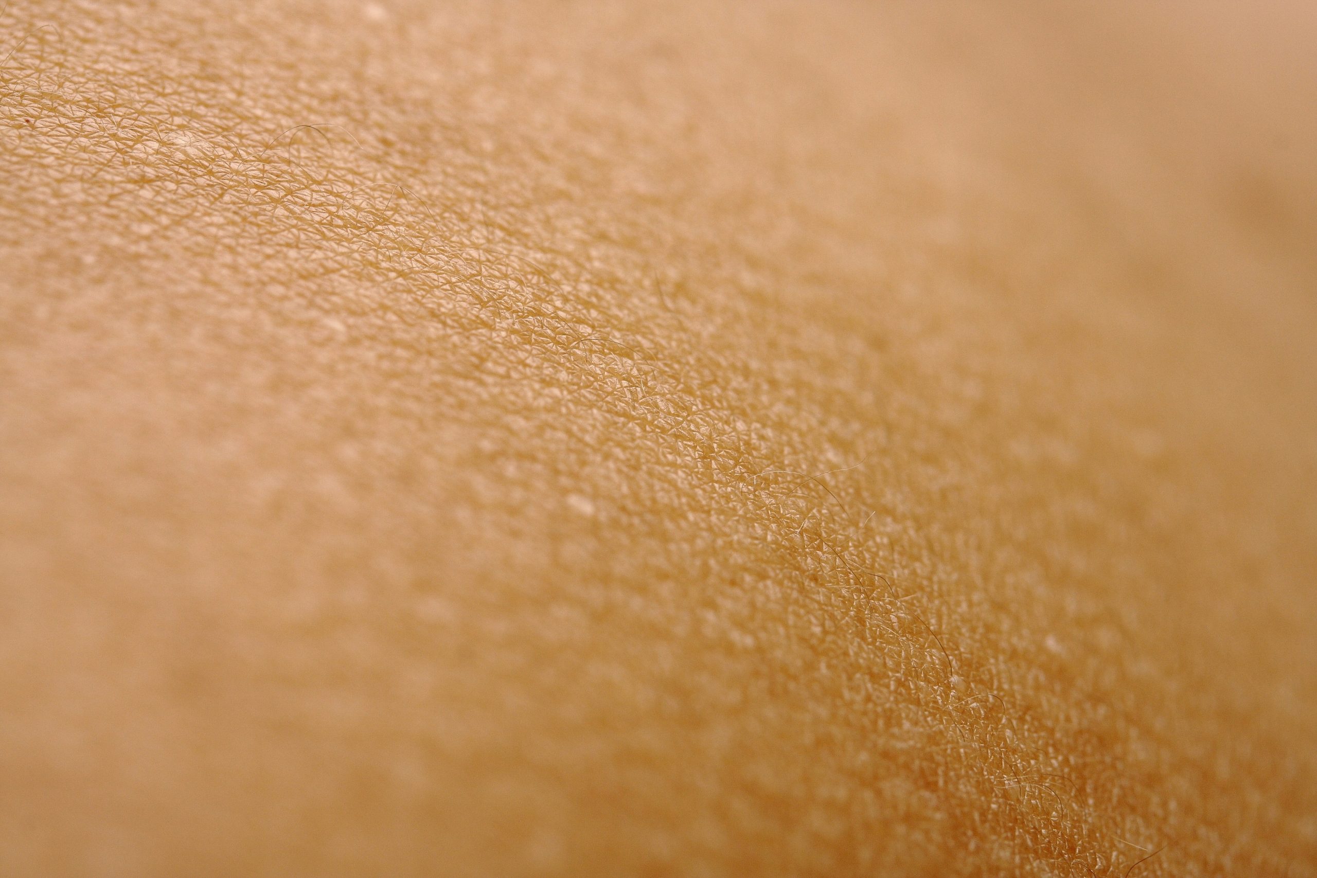 engin-akyurt-oSHy8iUzMRk-unsplash